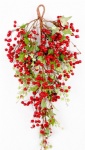 Red  berry drop with holly leaves