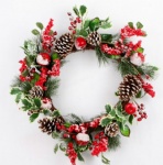 Frosted Christmas Wreath