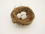 Egg nest ,