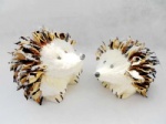 Hedgehogs in pair